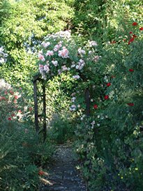 The Shakespeare Garden at Crook Hall & Gardens, Durham City