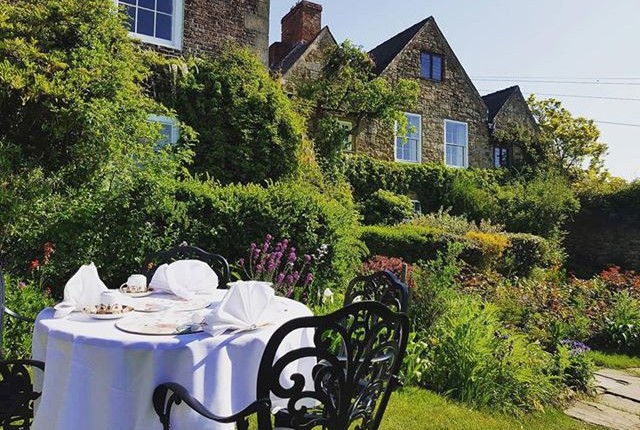 Garden Inspired Afternoon Teas