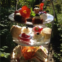 Afternoon tea outside