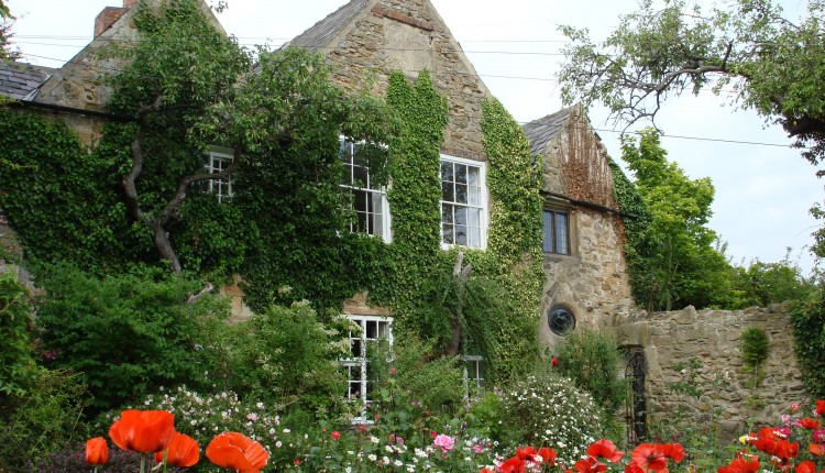 Summer Garden Tour