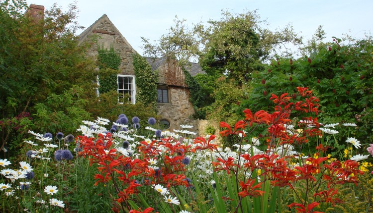 Summer Garden Tour