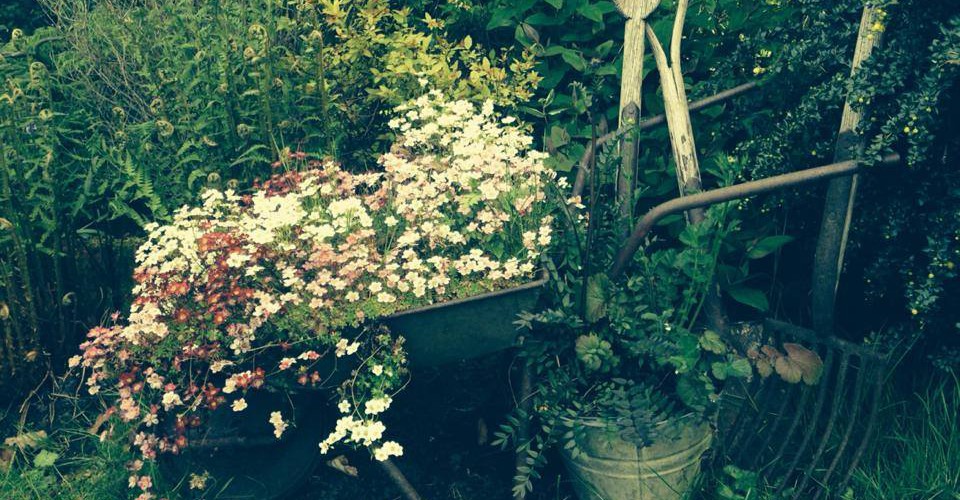 garden8