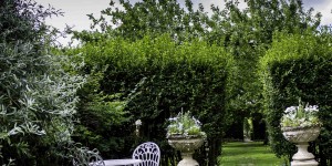 Silver & White Garden
