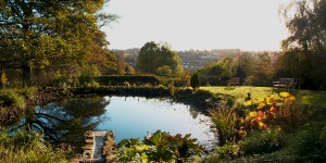 The Moat Pool