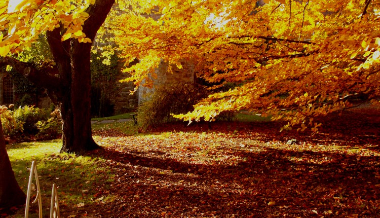 Autumn