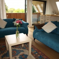 Two comfortable sofas