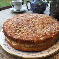 Almond and Apricot Cake