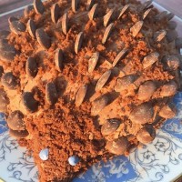 Chocolate Hedgehog Cake