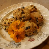 Fruit Scones