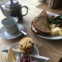 Tea, scone & sandwich