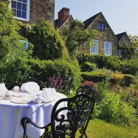 Afternoon Tea