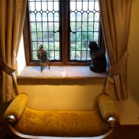 The Attic Room