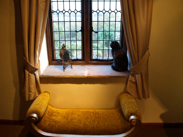 The Attic Room