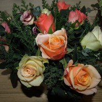 sue elsdon