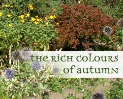 Click here to see Crook Hall & Gardens in the AUTUMN