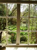 Window View from Crook Hall 